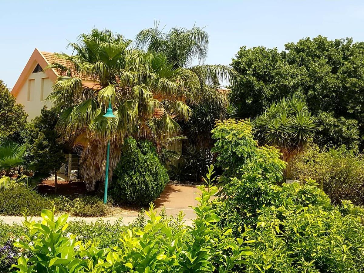 Huge & Private Villa In Kibbutz Dafna Exterior photo
